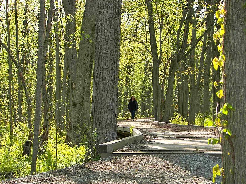 大瀑布不香了！多伦多周边的这5个小瀑布，才是又美又仙！