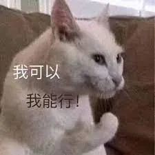 感谢亚马逊~网红大爷的“一米菜园”，我也能复刻了！
