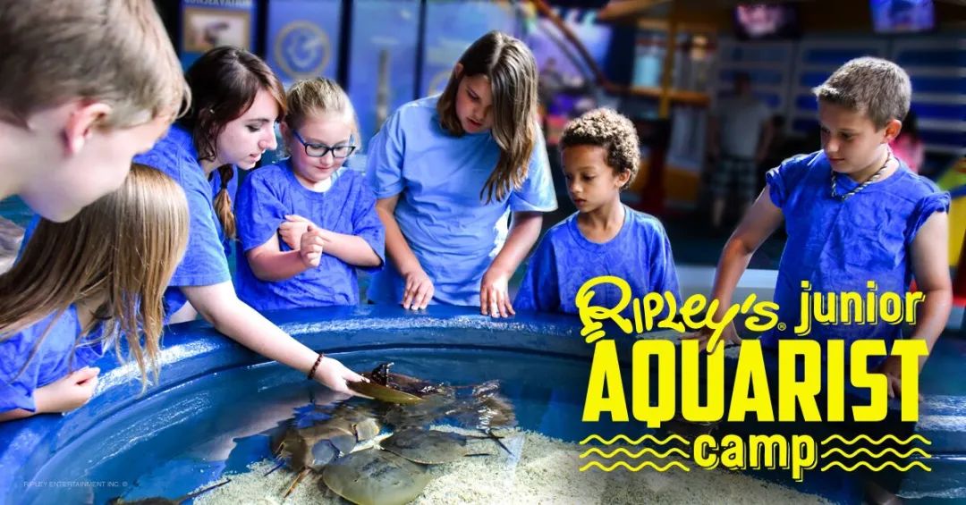 科技馆、水族馆和博物馆:搞夏令营,我们是认真的 科技馆、水族馆和博物馆:搞夏令营,我们是认真的