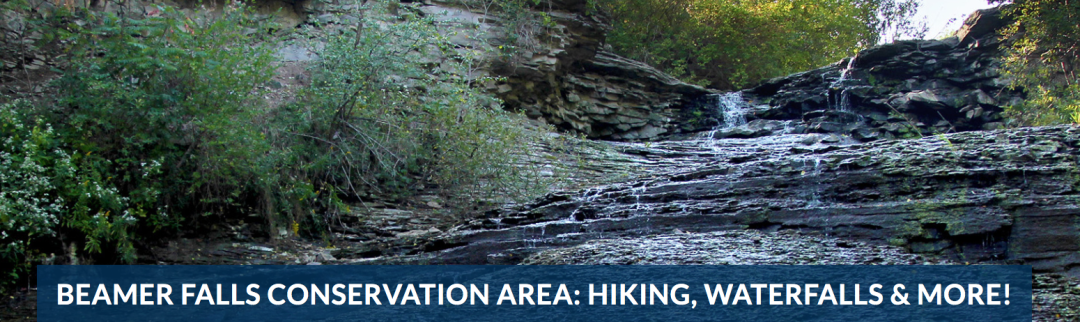 大瀑布不香了！多伦多周边的这5个小瀑布，才是又美又仙！