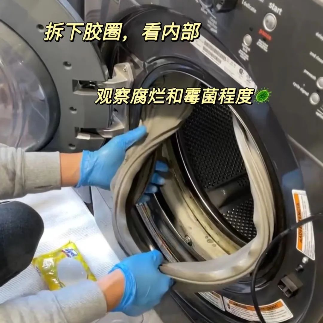 多村居然也有洗衣机清洁服务啦?陈年霉菌都给挖干净了! 多村居然也有洗衣机清洁服务啦?陈年霉菌都给挖干净了!