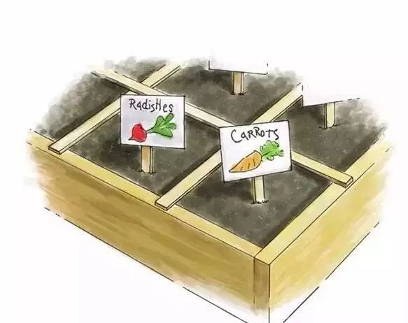 感谢亚马逊~网红大爷的“一米菜园”，我也能复刻了！
