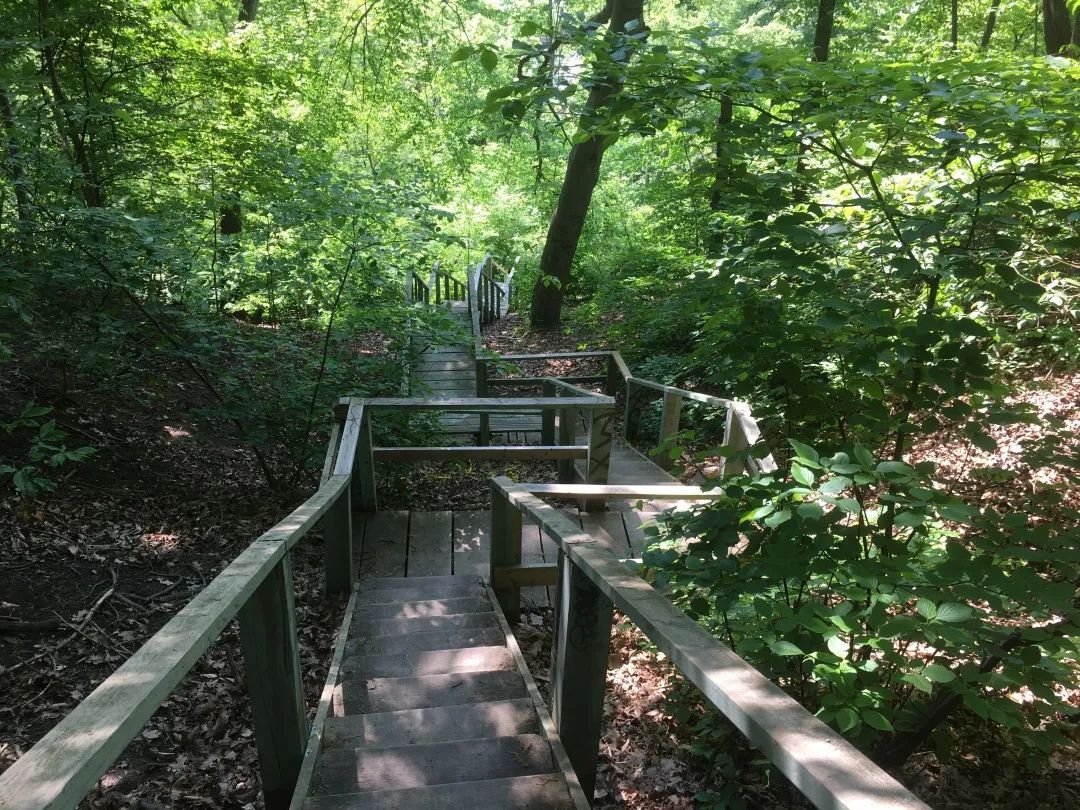 大瀑布不香了！多伦多周边的这5个小瀑布，才是又美又仙！