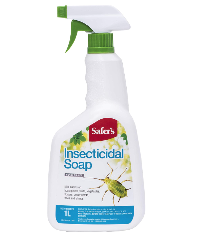 避免毛毛虫大爆发!春天杀虫攻略了解一下!(内有大量虫图,慎点) 避免毛毛虫大爆发!春天杀虫攻略了解一下!(内有大量虫图,慎点)