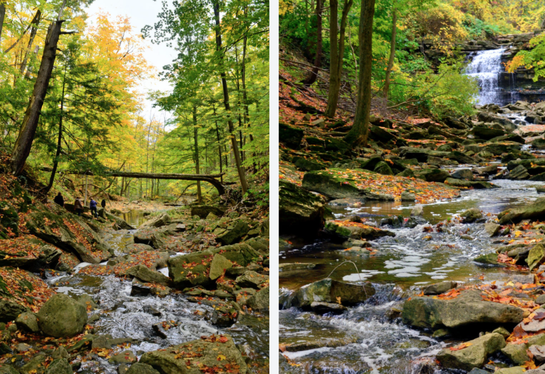 大瀑布不香了！多伦多周边的这5个小瀑布，才是又美又仙！