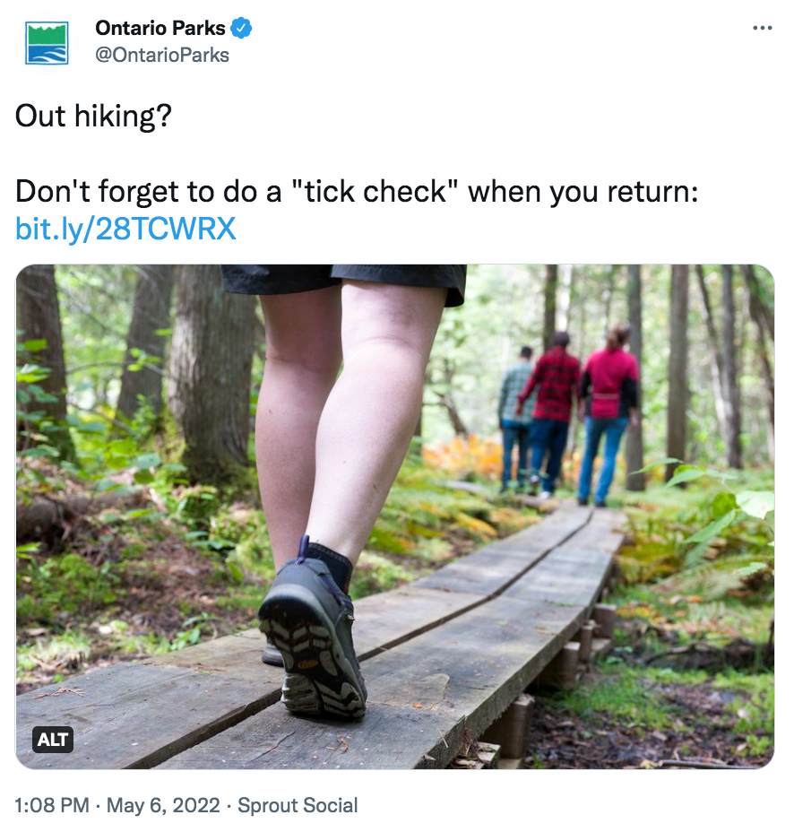 安省蜱虫爆发季：有孩子被咬差点瘫痪，咬后必须这么处理