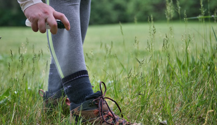 安省蜱虫爆发季：有孩子被咬差点瘫痪，咬后必须这么处理
