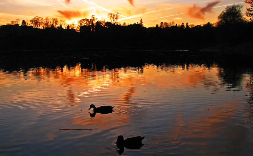 落日黄昏治愈系风景：多伦多10个最美落日观赏地