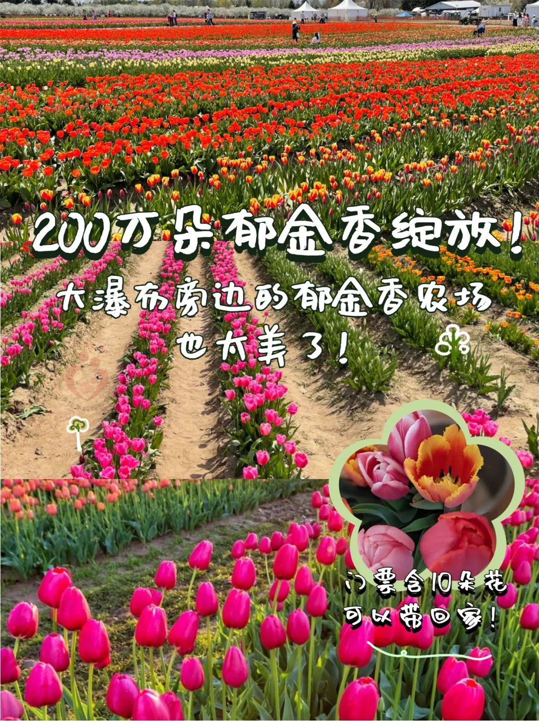 多伦多硬核遛娃攻略:维多利亚日长周末去哪玩? 多伦多硬核遛娃攻略:维多利亚日长周末去哪玩?