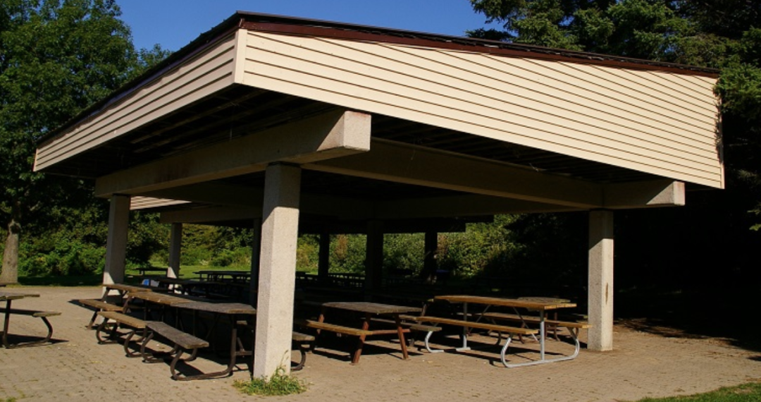 一场说野就野的野餐：大多伦多地区13个适合带孩子去野餐的公园！