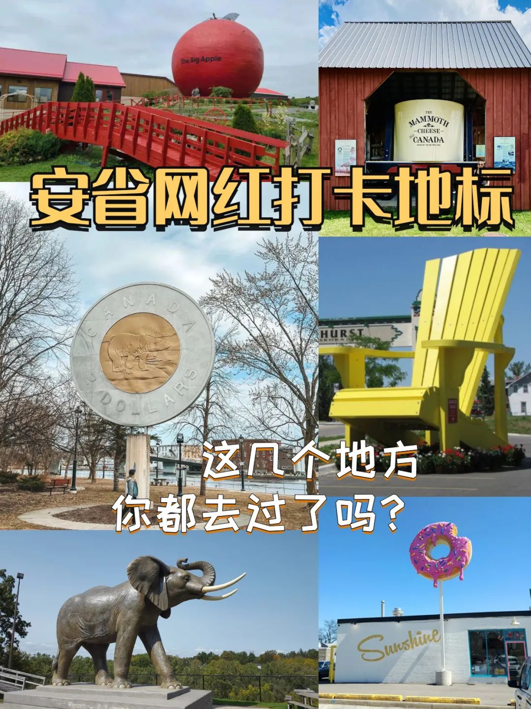 多伦多春季遛娃攻略：观鸟、踏青、看马戏团表演！
