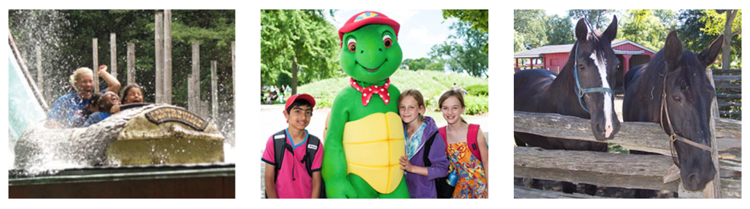 一场说野就野的野餐：大多伦多地区13个适合带孩子去野餐的公园！