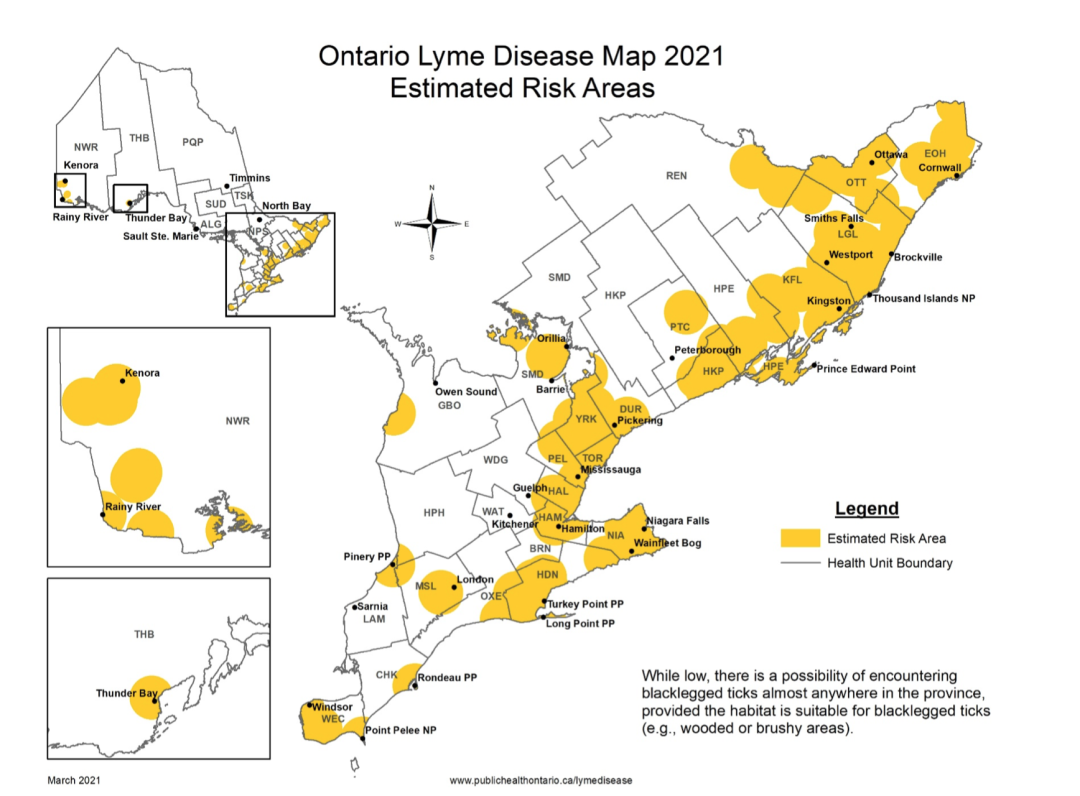 安省蜱虫爆发季：有孩子被咬差点瘫痪，咬后必须这么处理