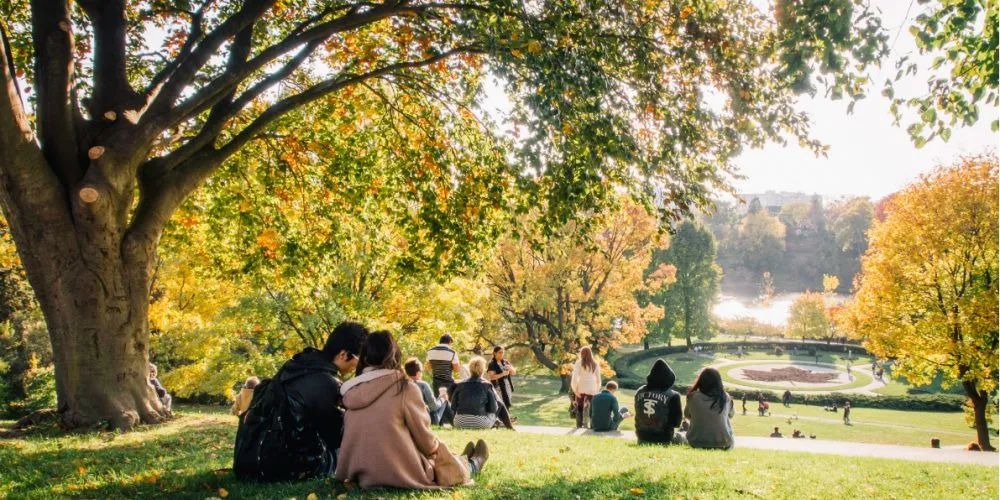 一场说野就野的野餐：大多伦多地区13个适合带孩子去野餐的公园！