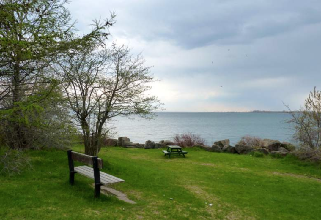 一场说野就野的野餐：大多伦多地区13个适合带孩子去野餐的公园！