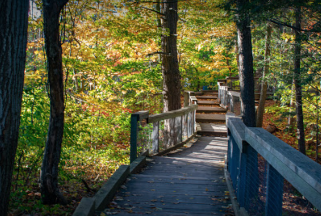 一场说野就野的野餐：大多伦多地区13个适合带孩子去野餐的公园！