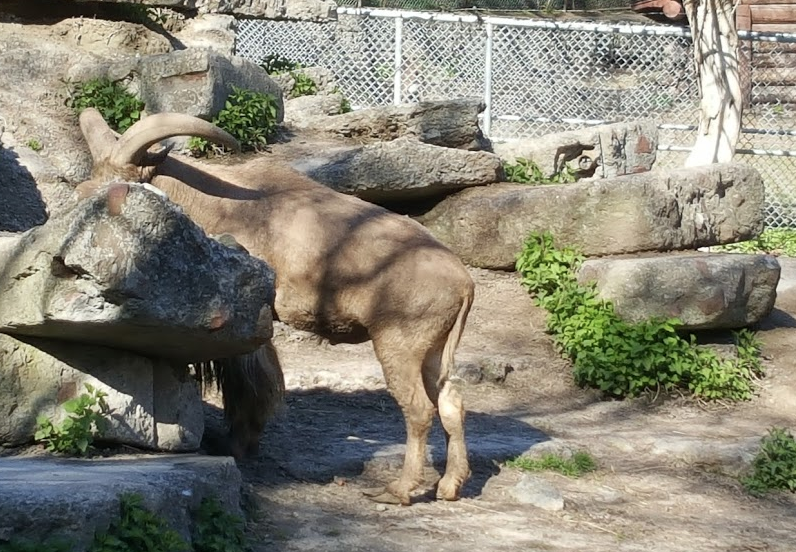 一场说野就野的野餐：大多伦多地区13个适合带孩子去野餐的公园！