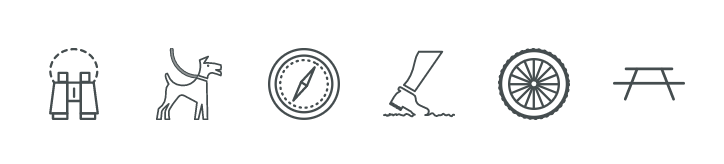 一场说野就野的野餐：大多伦多地区13个适合带孩子去野餐的公园！