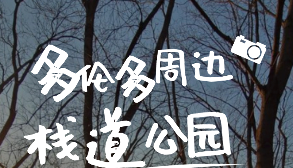多伦多春季遛娃攻略：观鸟、踏青、看马戏团表演！