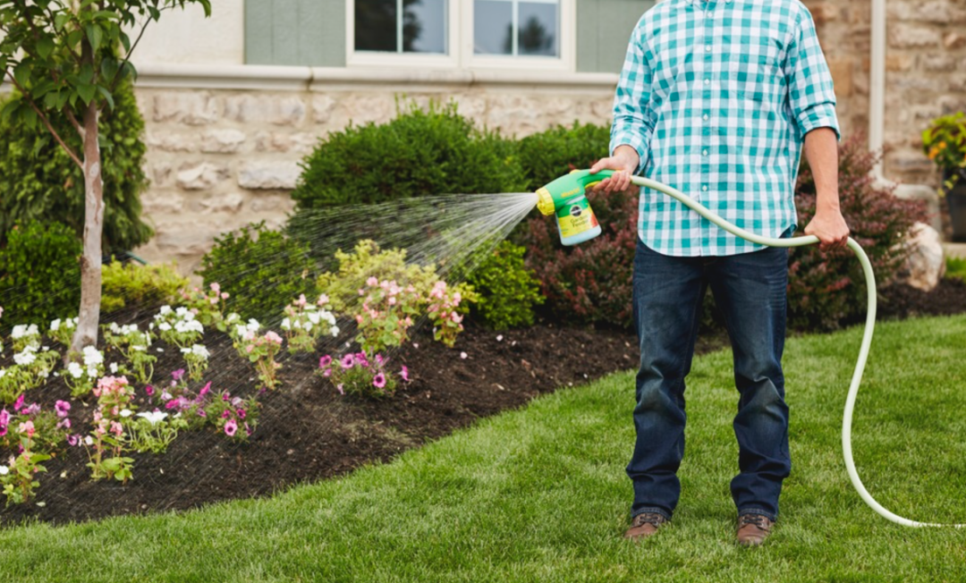 养花种菜肥料大全：这些常见的肥料都有什么用？怎么买？