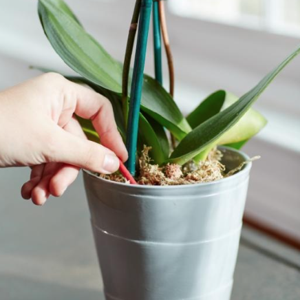 养花种菜肥料大全：这些常见的肥料都有什么用？怎么买？