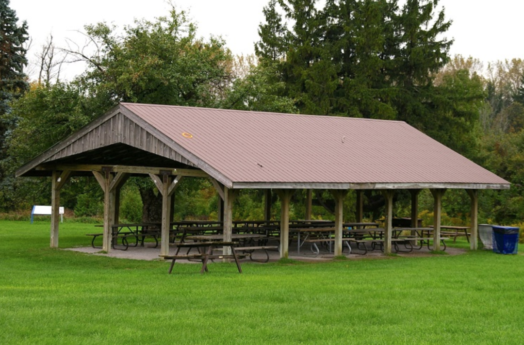 一场说野就野的野餐：大多伦多地区13个适合带孩子去野餐的公园！