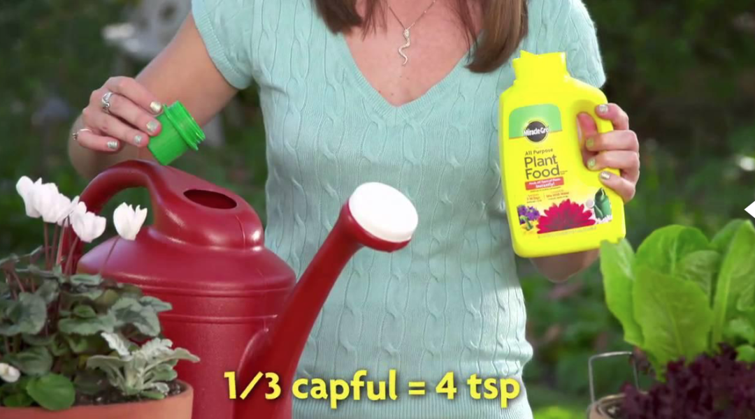 养花种菜肥料大全：这些常见的肥料都有什么用？怎么买？