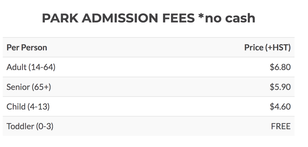 一场说野就野的野餐：大多伦多地区13个适合带孩子去野餐的公园！