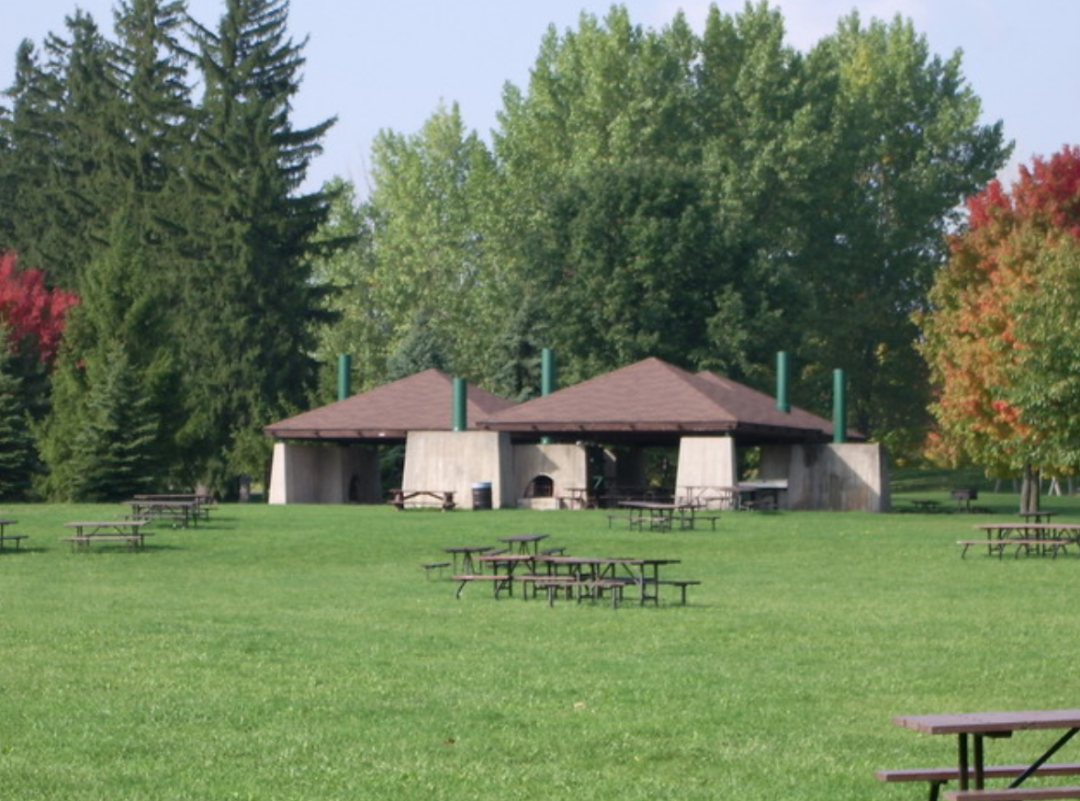 一场说野就野的野餐：大多伦多地区13个适合带孩子去野餐的公园！