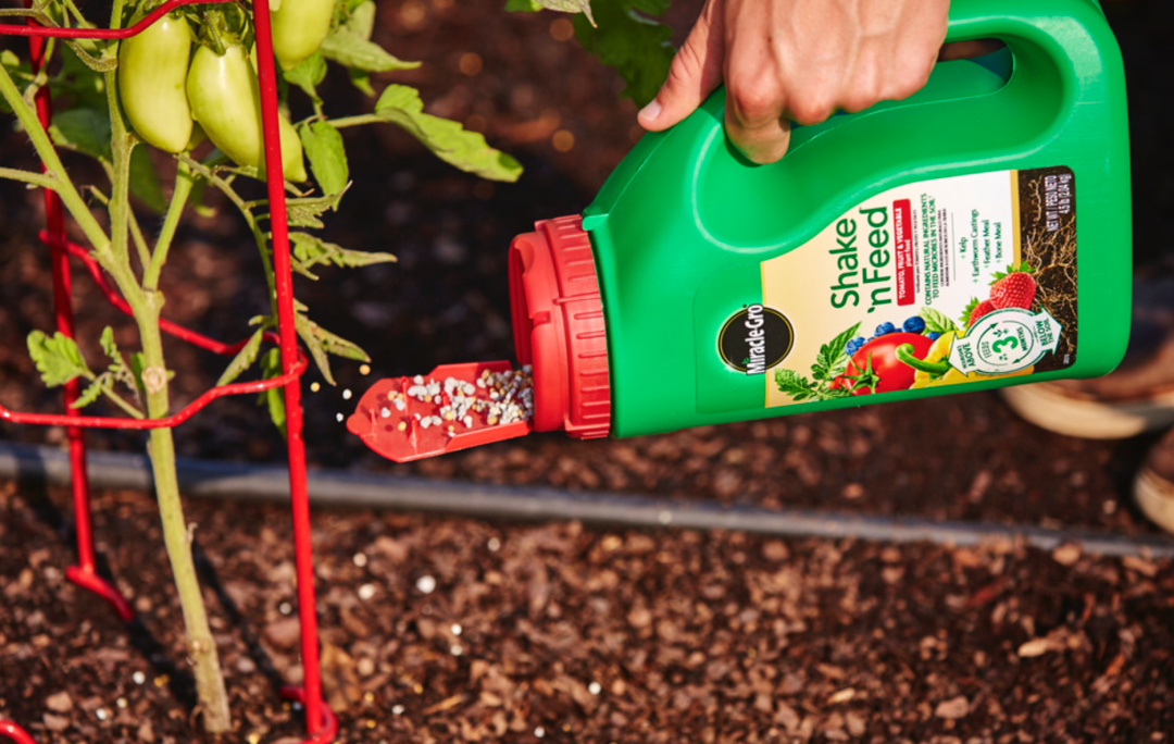 养花种菜肥料大全：这些常见的肥料都有什么用？怎么买？