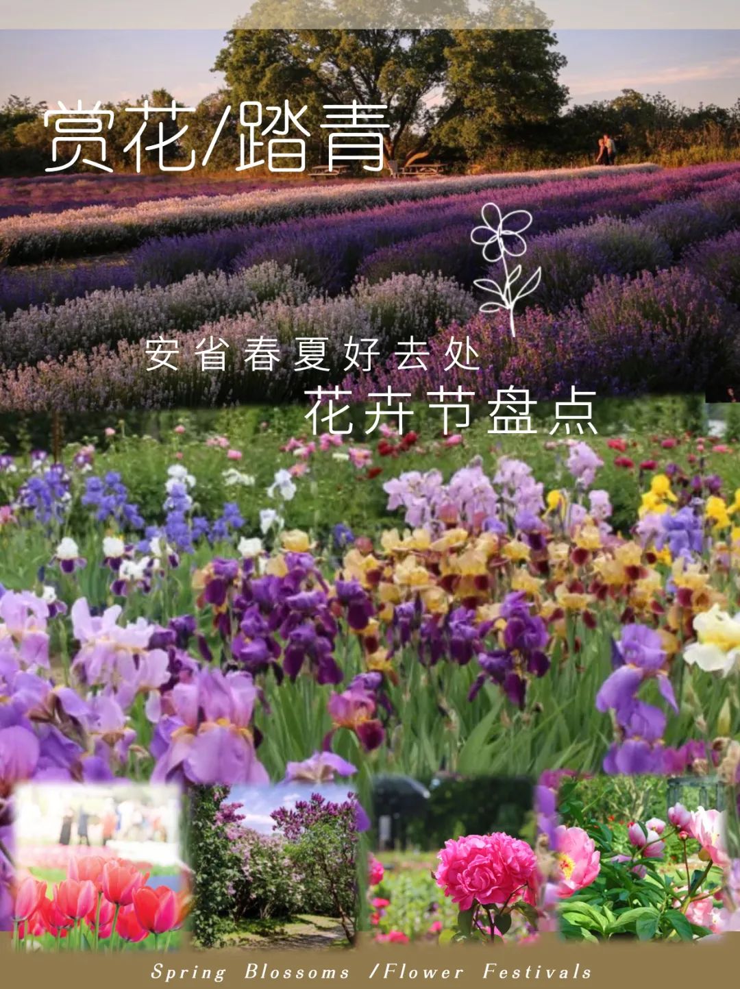 多伦多硬核遛娃攻略:维多利亚日长周末去哪玩? 多伦多硬核遛娃攻略:维多利亚日长周末去哪玩?
