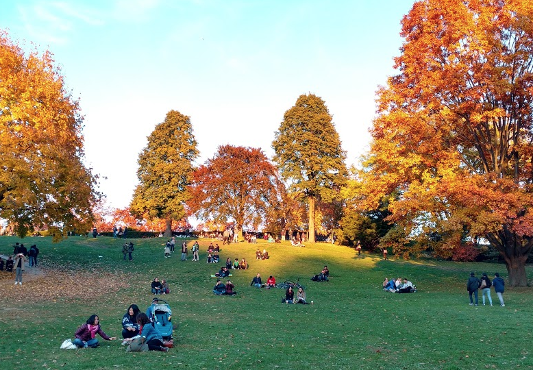 一场说野就野的野餐：大多伦多地区13个适合带孩子去野餐的公园！