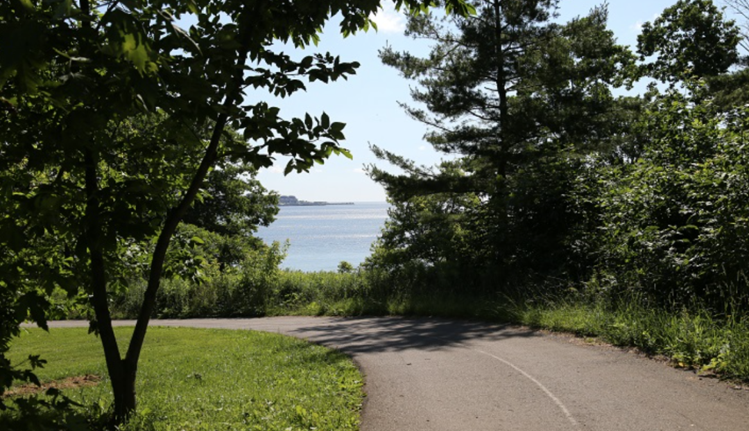 一场说野就野的野餐：大多伦多地区13个适合带孩子去野餐的公园！