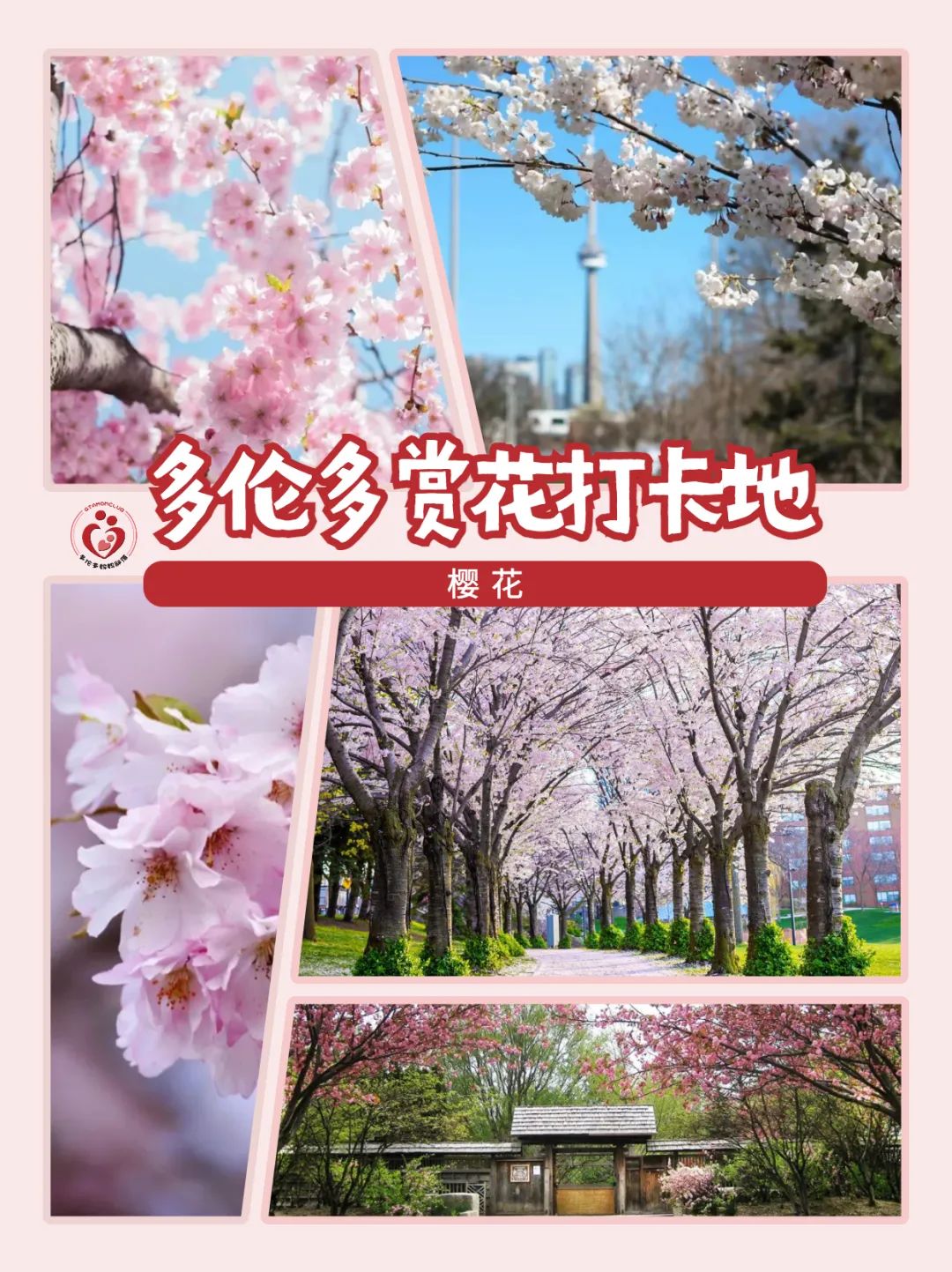 多伦多春季遛娃攻略:观鸟、踏青、看马戏团表演! 多伦多春季遛娃攻略:观鸟、踏青、看马戏团表演!