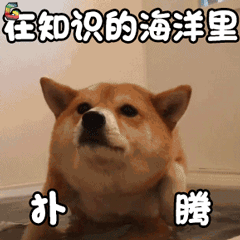 加拿大政府隐藏福利：免费领取国旗贴纸、学习海报！