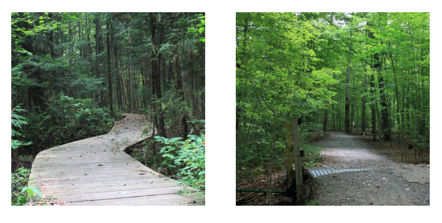 一场说野就野的野餐：大多伦多地区13个适合带孩子去野餐的公园！
