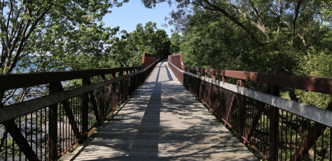 一场说野就野的野餐：大多伦多地区13个适合带孩子去野餐的公园！