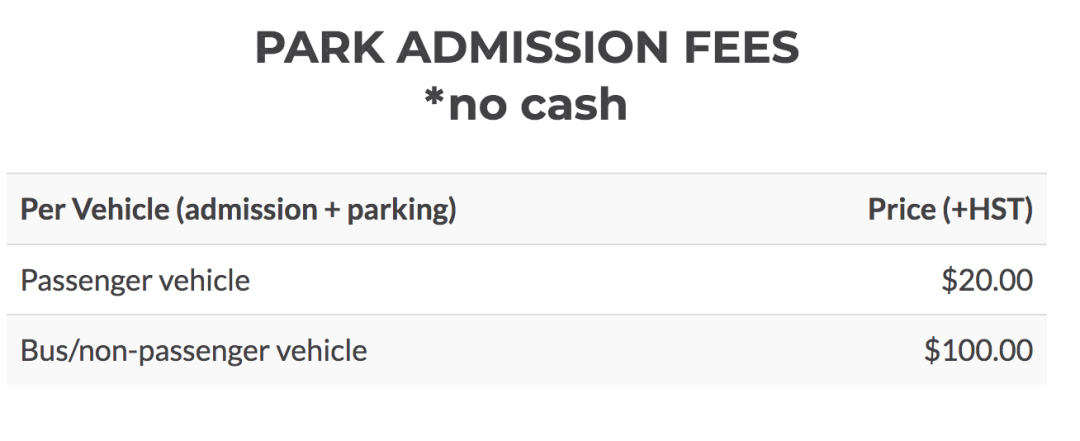 一场说野就野的野餐：大多伦多地区13个适合带孩子去野餐的公园！