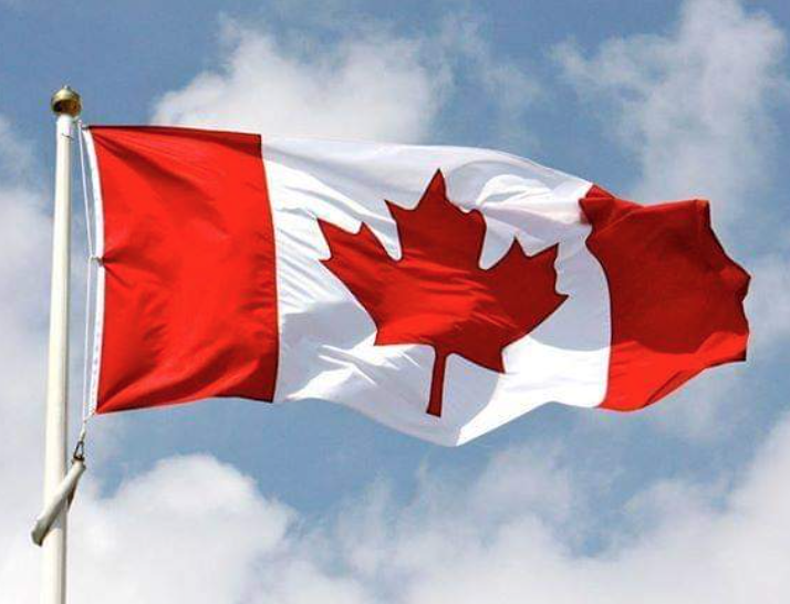 加拿大政府隐藏福利：免费领取国旗贴纸、学习海报！