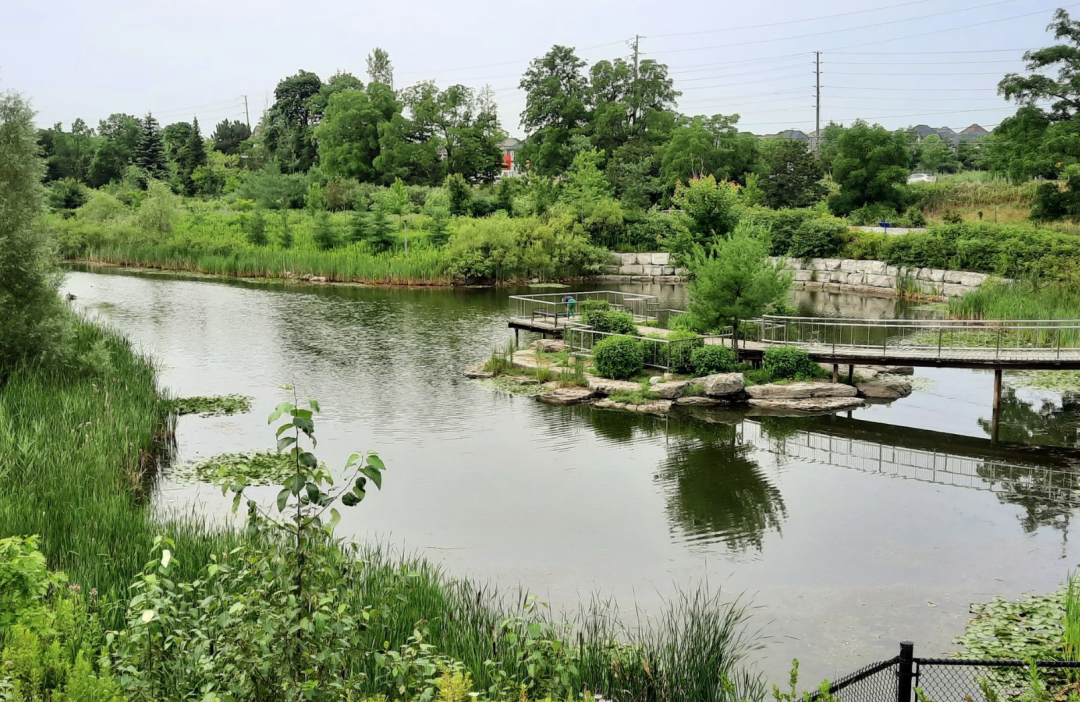 一场说野就野的野餐：大多伦多地区13个适合带孩子去野餐的公园！