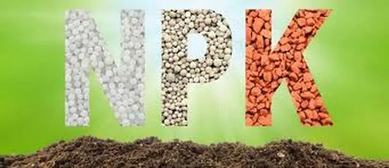 养花种菜肥料大全：这些常见的肥料都有什么用？怎么买？