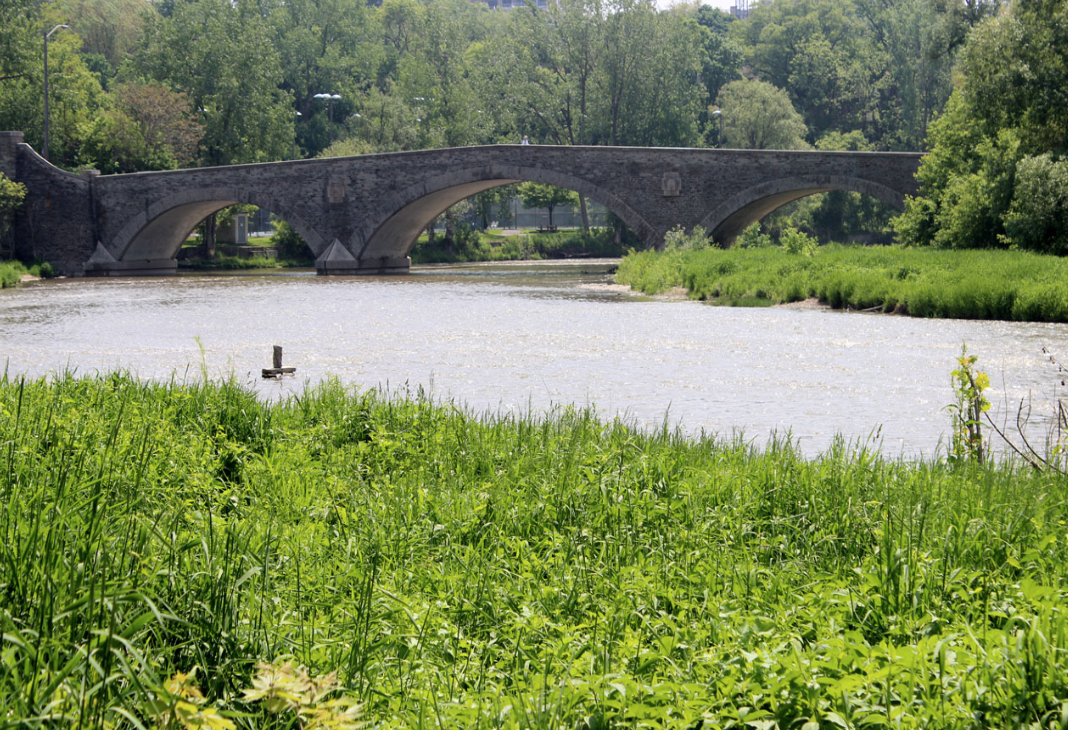 一场说野就野的野餐：大多伦多地区13个适合带孩子去野餐的公园！