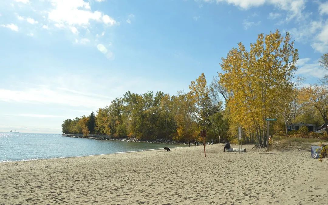 本周开启热成狗模式!玩水安排起来:8个蓝旗沙滩了解一下 本周开启热成狗模式!玩水安排起来:8个蓝旗沙滩了解一下