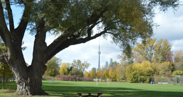 本周开启热成狗模式!玩水安排起来:8个蓝旗沙滩了解一下 本周开启热成狗模式!玩水安排起来:8个蓝旗沙滩了解一下