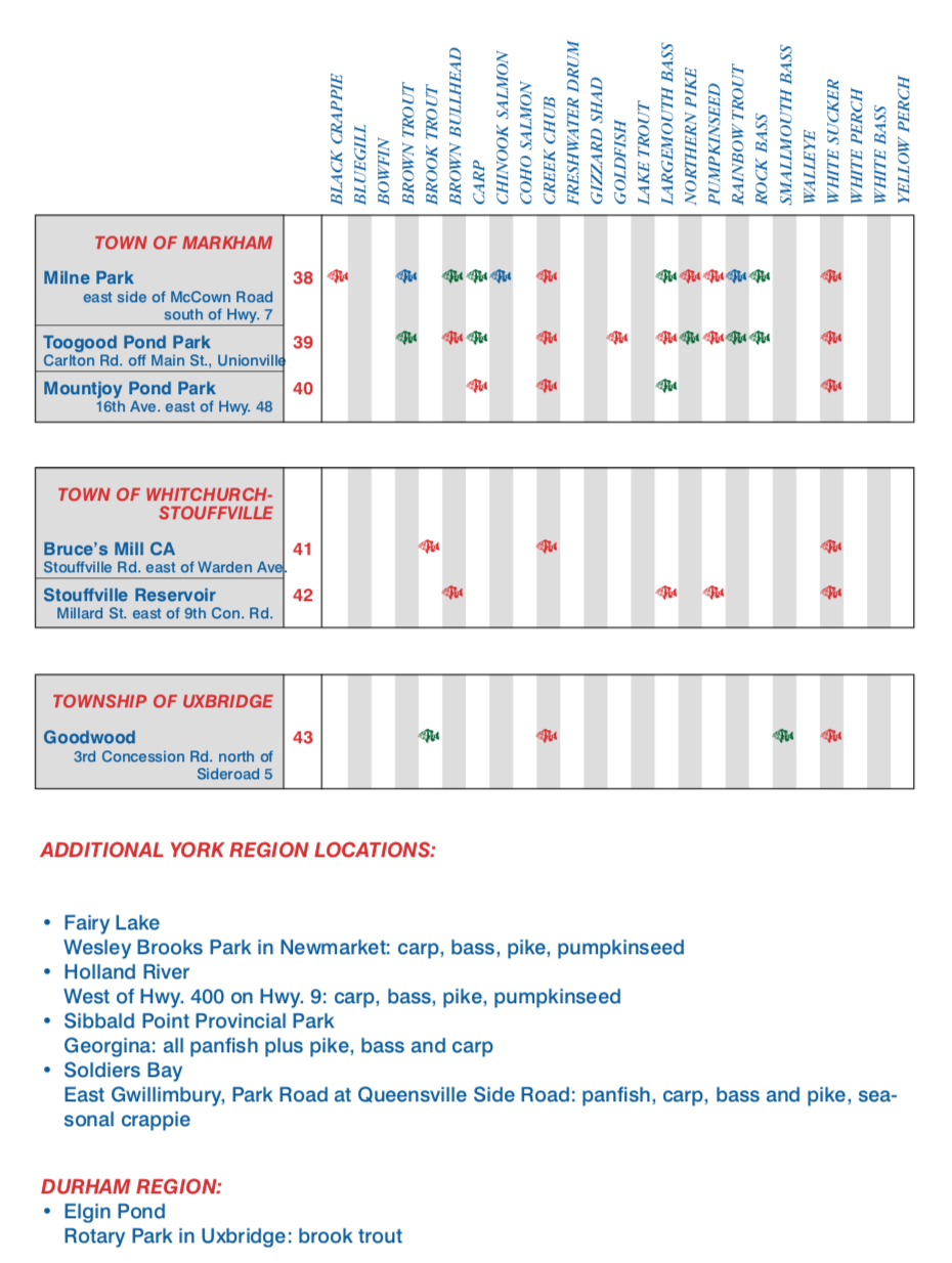 一年就免四次：父亲节免鱼牌钓鱼，我带爸爸去钓鱼！