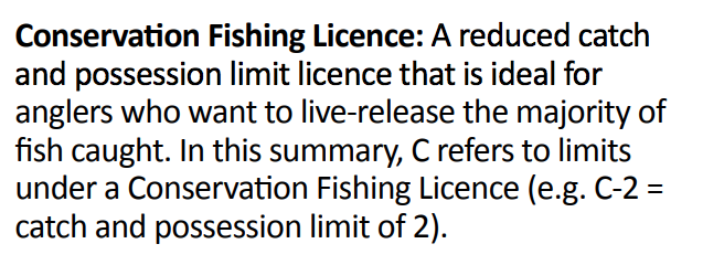 一年就免四次：父亲节免鱼牌钓鱼，我带爸爸去钓鱼！