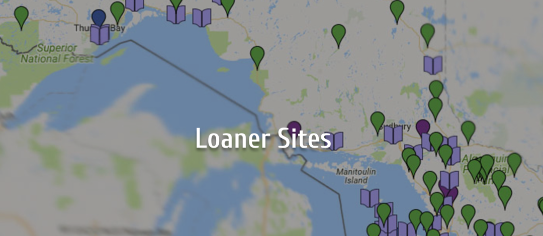 一年就免四次：父亲节免鱼牌钓鱼，我带爸爸去钓鱼！