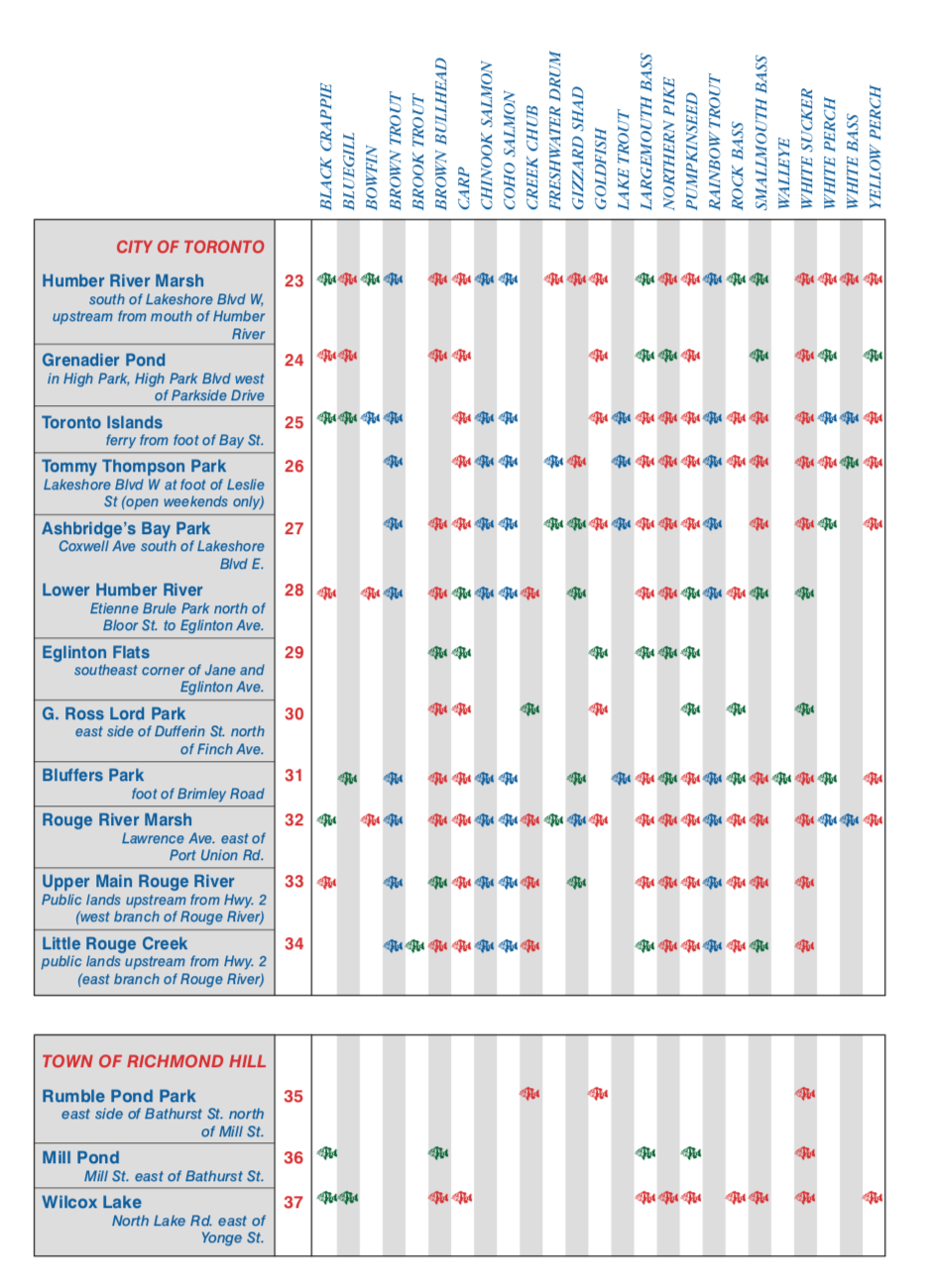 一年就免四次：父亲节免鱼牌钓鱼，我带爸爸去钓鱼！