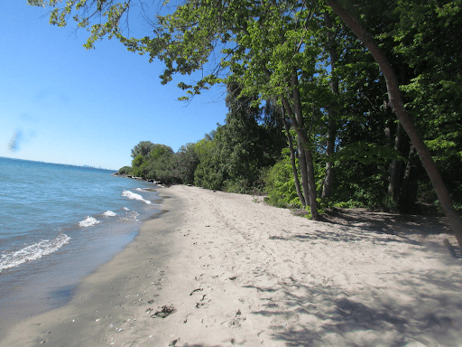 本周开启热成狗模式!玩水安排起来:8个蓝旗沙滩了解一下 本周开启热成狗模式!玩水安排起来:8个蓝旗沙滩了解一下