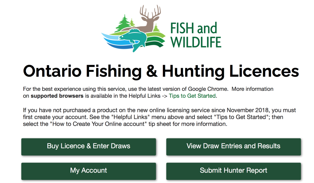 一年就免四次：父亲节免鱼牌钓鱼，我带爸爸去钓鱼！